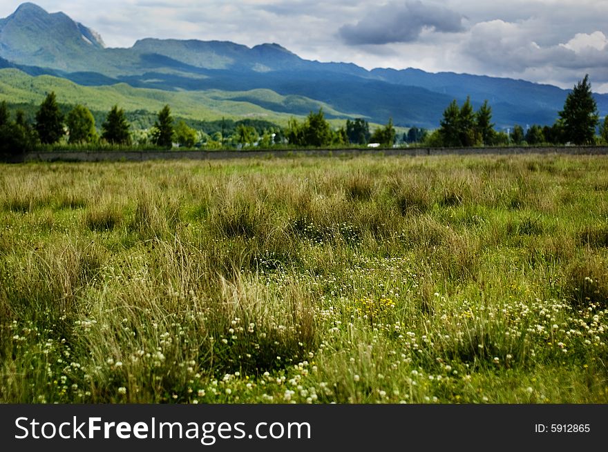 The grass field beside Lashihai