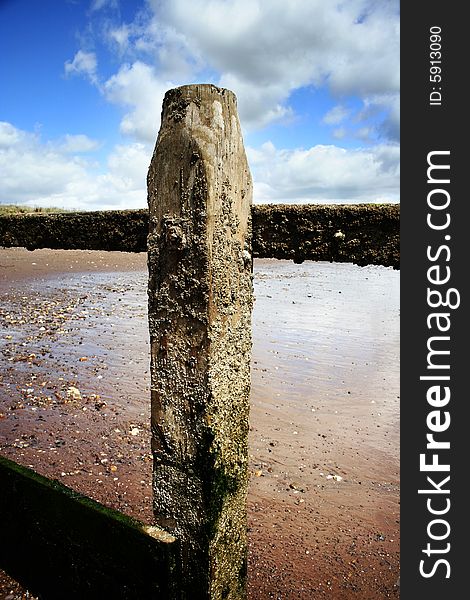 Barnacle encrusted wooden pillar on devon beach. Barnacle encrusted wooden pillar on devon beach