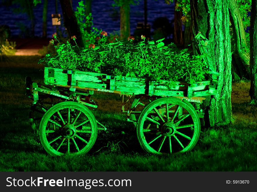 Cart of grass in hotel Magic Life Marmaris