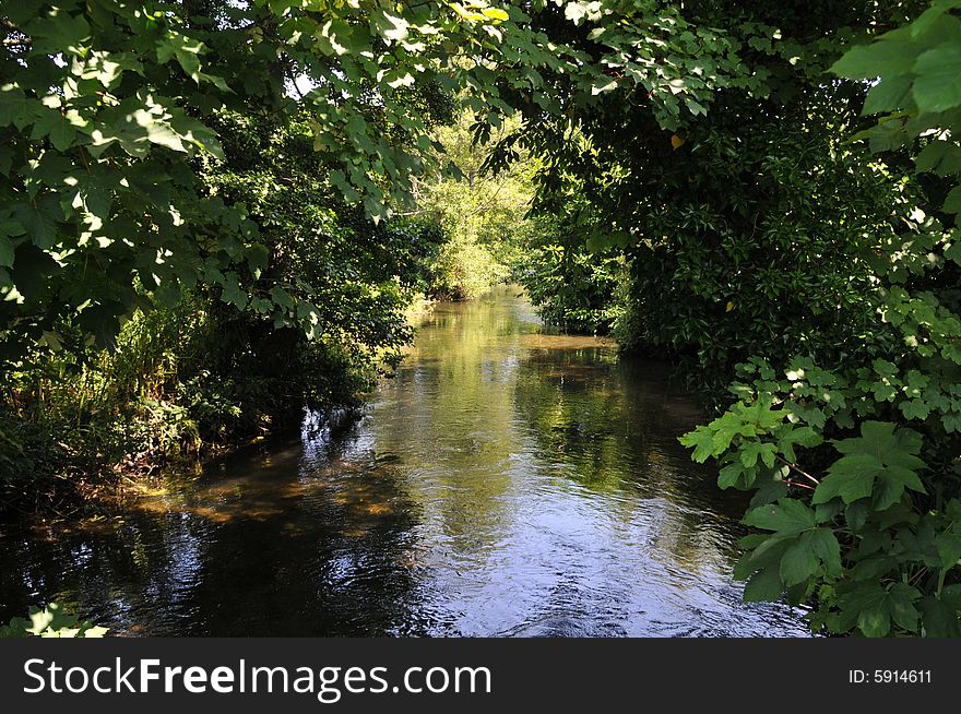 River Frome at Bradford Peveral looking from a bridge