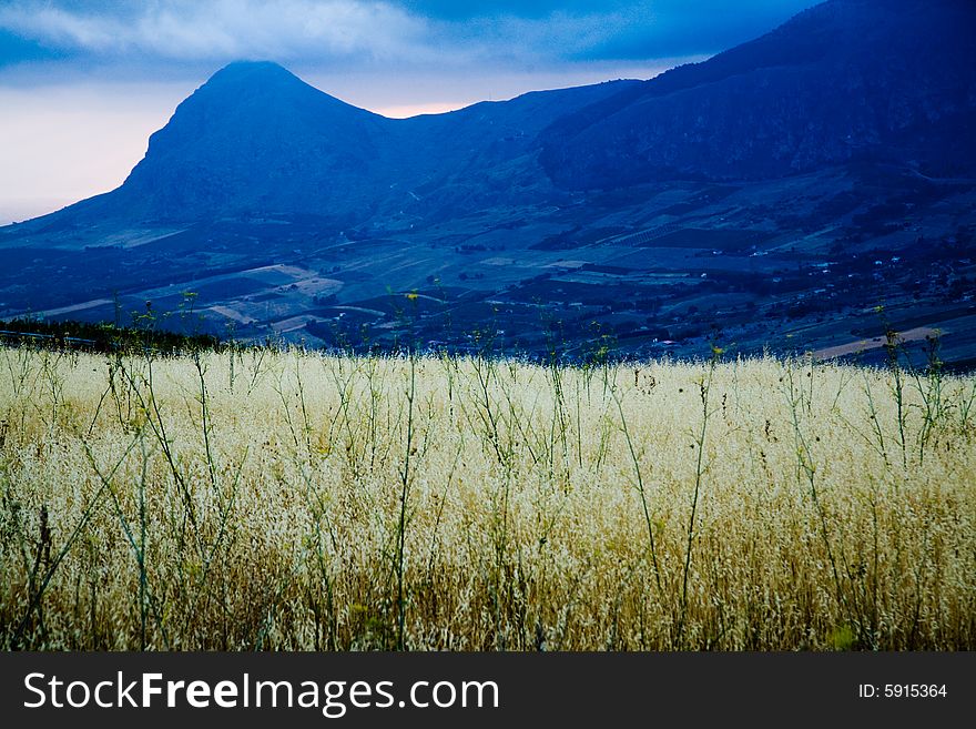 Sicily Landscape on Summer, Jato Valley, Palermo. Sicily Landscape on Summer, Jato Valley, Palermo