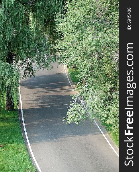 A quiet road with green trees and grass beside in summer.