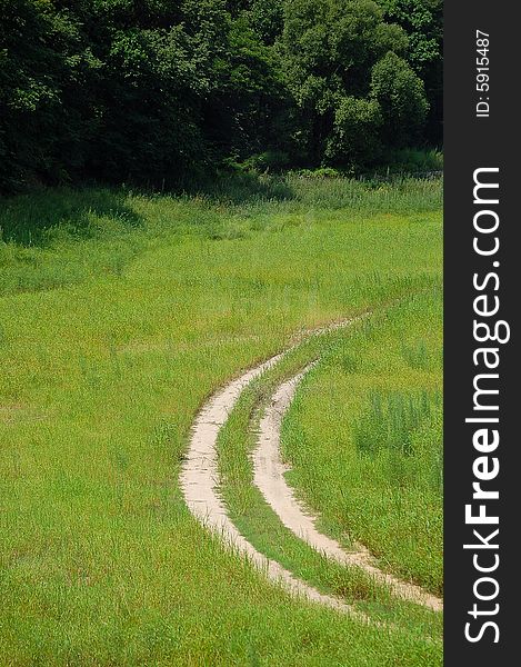 Road In Grassland