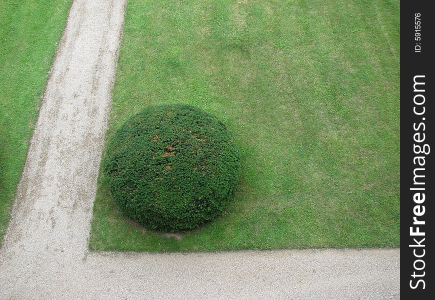 Ornamental garden with green bush. Ornamental garden with green bush