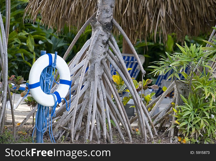 A blue and white life saver ring on a rope by a tropical pool. A blue and white life saver ring on a rope by a tropical pool