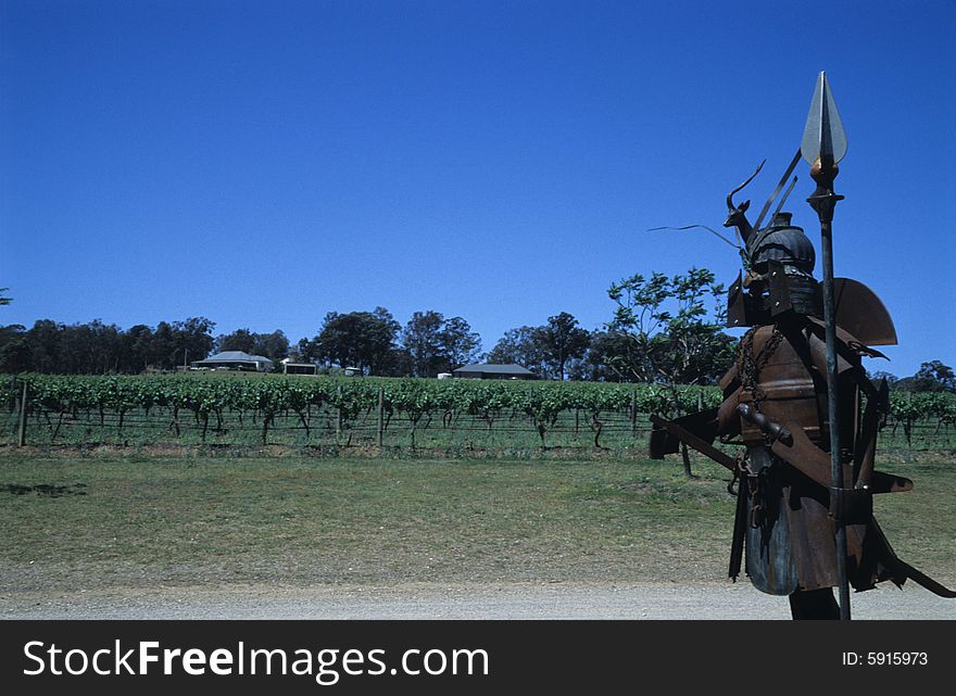 Spring,in a grape trees garden of hunter valley locates in Sydney,a sheet icon hunter was on guarding. Spring,in a grape trees garden of hunter valley locates in Sydney,a sheet icon hunter was on guarding.