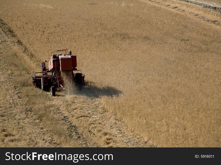 Summer in Sicily: Harvest in J