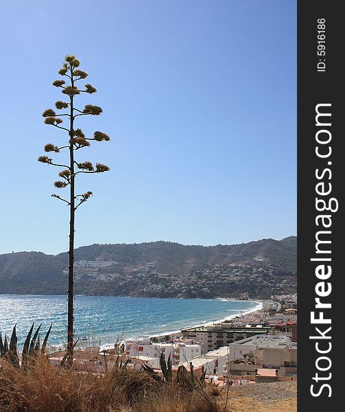The beautiful bay of La Herradura on the Costa Tropical of southern Spain looking at the Cerro Gordo. The beautiful bay of La Herradura on the Costa Tropical of southern Spain looking at the Cerro Gordo.