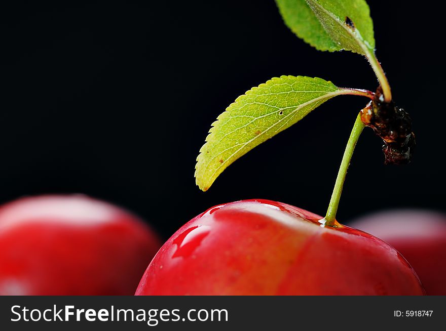 Red cherry-plum with green leaf on the black background. Narrow depth of field. Red cherry-plum with green leaf on the black background. Narrow depth of field.