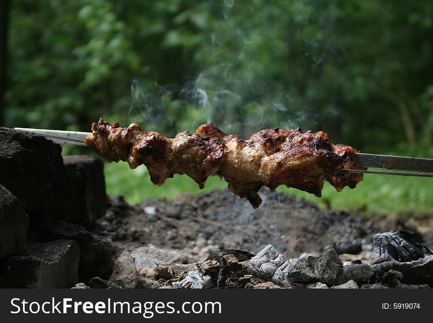 Shish kebab, picnic on the nature, meat. Shish kebab, picnic on the nature, meat