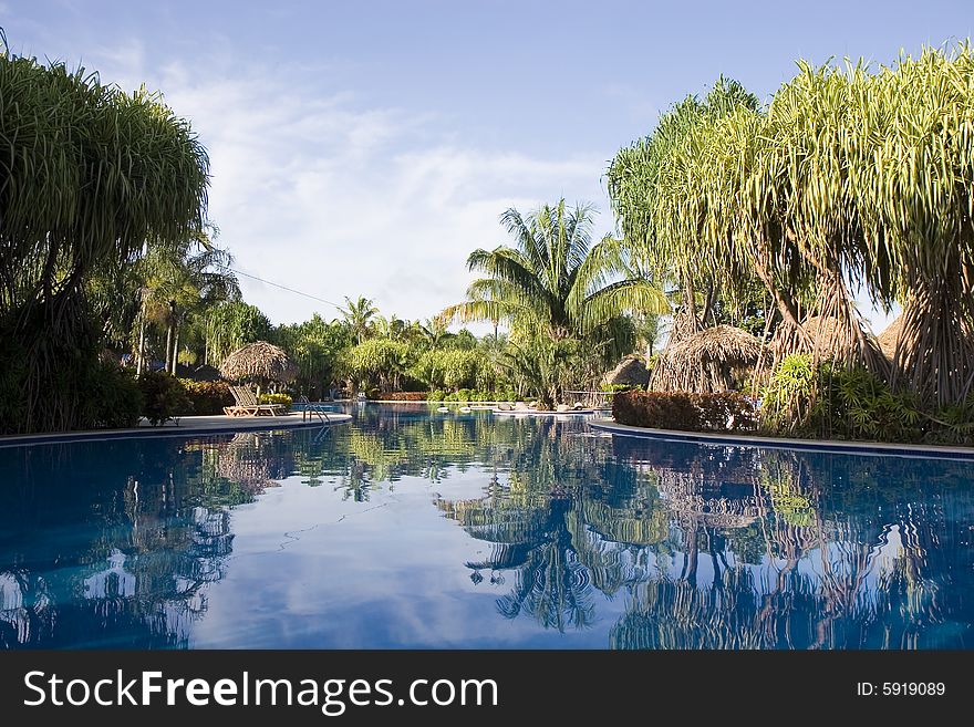 A calm and empty blue pool in a tropical setting. A calm and empty blue pool in a tropical setting