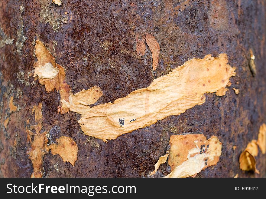 Old rusted metal surface with some old browned paper
