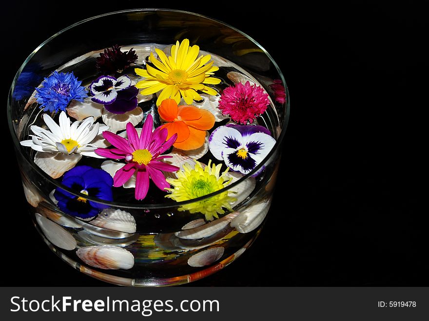 Round glass vase with seashells and flowers. Round glass vase with seashells and flowers