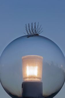 Cityscape Reflects In Glass Street Lamp Royalty Free Stock Photography Cityscape Reflects In Glass Street Lamp Royalty Free Stock Photography