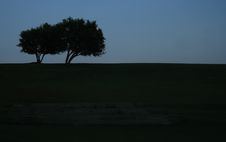 Dusk Trees Stock Photography Dusk Trees Stock Photography
