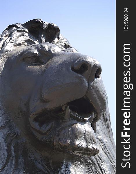 A close-up of one of the Trafalgar Square lions that stand guard at the base of Nelson's column, London. A close-up of one of the Trafalgar Square lions that stand guard at the base of Nelson's column, London.