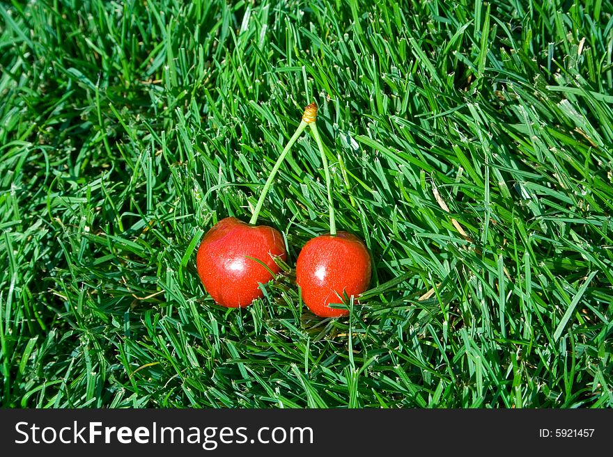 An image of bright red ripe cherries laying on green grass. An image of bright red ripe cherries laying on green grass.