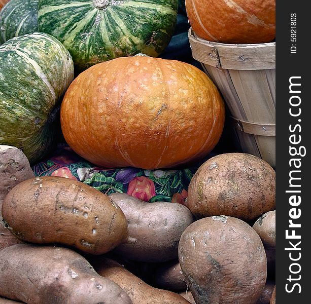 A closer look at farm fresh pumpkins and sweet potatoes. A closer look at farm fresh pumpkins and sweet potatoes.