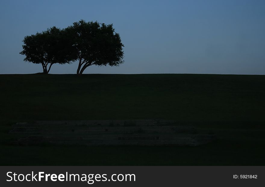 A pair of trees silhouetted on a hilltop at dusk. A pair of trees silhouetted on a hilltop at dusk