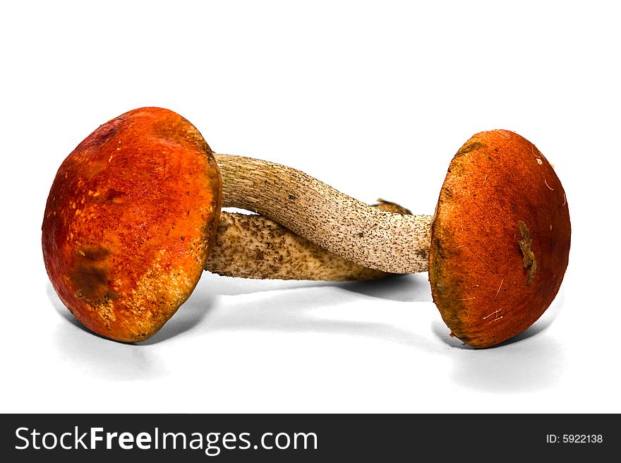 A closeup photo of two mushrooms isolated over white.  Clipping path for mushrooms included. A closeup photo of two mushrooms isolated over white.  Clipping path for mushrooms included.