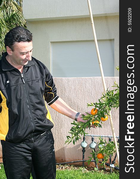 The man holding tangerine in the garden. The man holding tangerine in the garden.