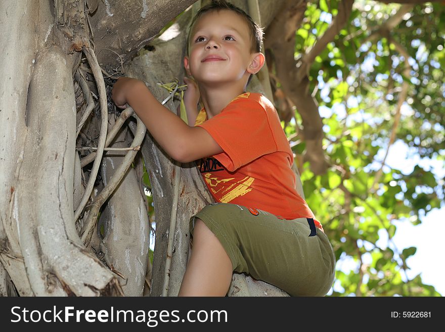 A little boy in a bright sport shirt creeps on a large tree in a park