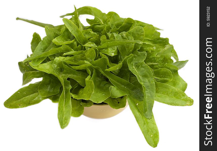 Head of lettuce isolated on white