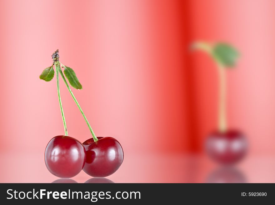 Close up view of nice red fresh  cherry on pink back. Close up view of nice red fresh  cherry on pink back