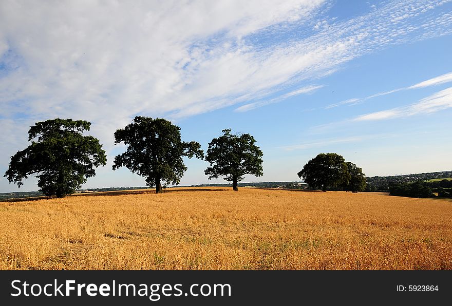 Countryside In The Evening