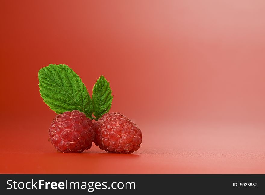 Close up view of nice fresh red raspberry. Good for label, lots of copy space. Close up view of nice fresh red raspberry. Good for label, lots of copy space.