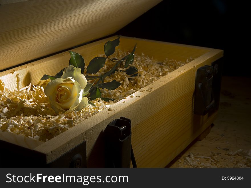 View of nice fresh rose delivered in cuttings filled wooden box. View of nice fresh rose delivered in cuttings filled wooden box