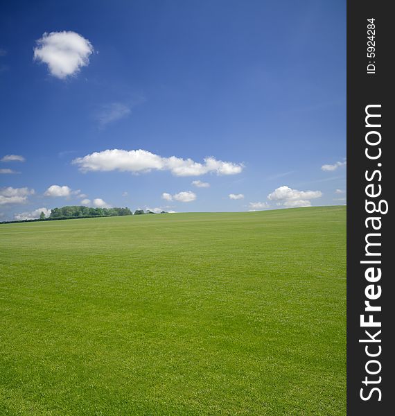 A grass meadow beneath a blue sky. Includes copy space options.