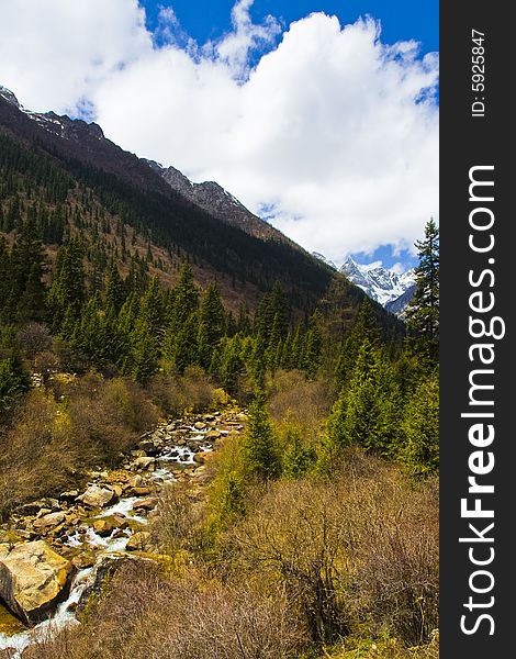 This is the Heishui County in Sichuan, China in the ancient glaciers of Forest Park, the beautiful scenery can be seen everywhere. This is the Heishui County in Sichuan, China in the ancient glaciers of Forest Park, the beautiful scenery can be seen everywhere