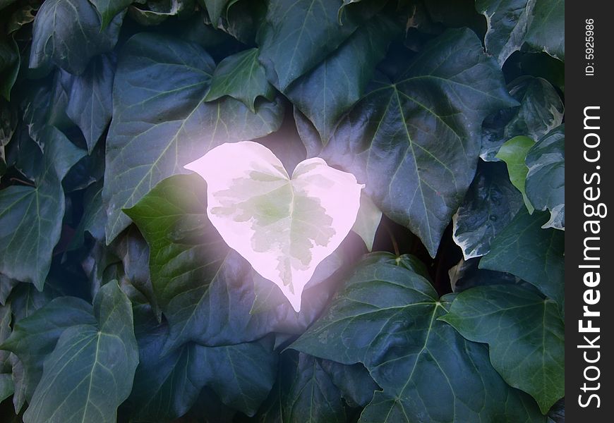 A glowing leaf among blu leaves. Coloured picture.