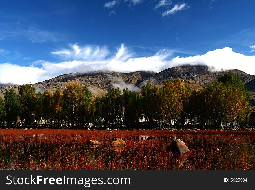 An amazing land in Daocheng . The grass will change into red in every autumn. An amazing land in Daocheng . The grass will change into red in every autumn.