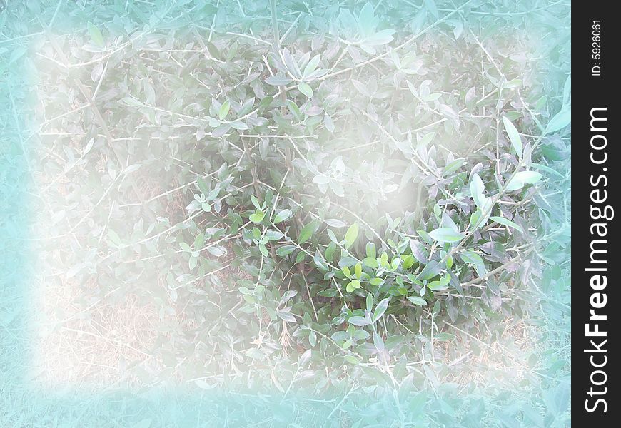 Many little leaves under a white fog and a blu foggy frame. Coloured picture. Many little leaves under a white fog and a blu foggy frame. Coloured picture.