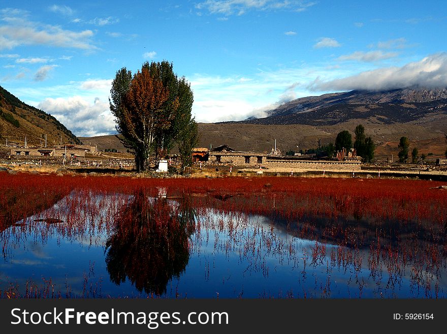 An amazing land in Daocheng. The grass will change into red every autumn. An amazing land in Daocheng. The grass will change into red every autumn