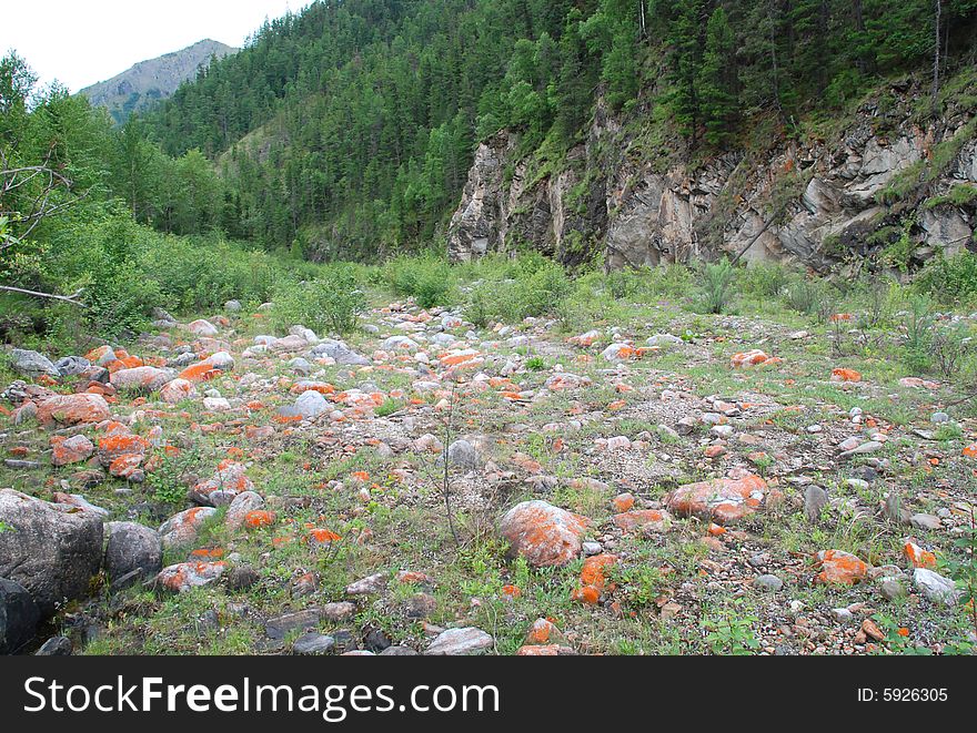 Stones with red lichen in the mountains (Baikal region, Russia)