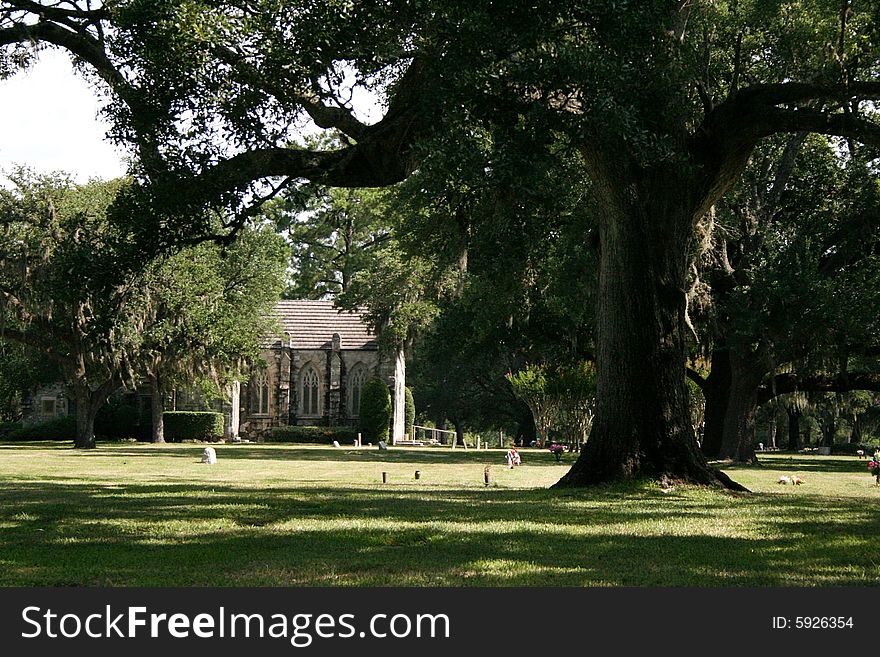 An old stone church sits behind trees with Spanish moss haning down. An old stone church sits behind trees with Spanish moss haning down.