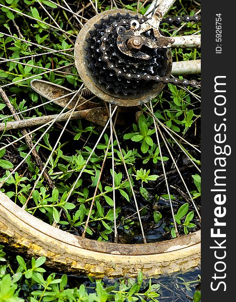 The wheel of the bicycle in the grasses