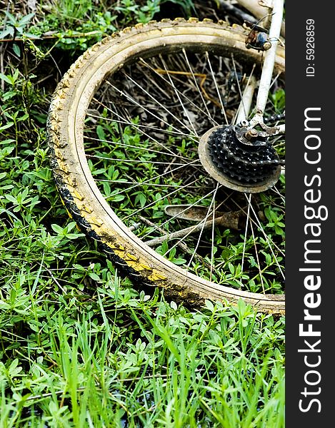 The wheel of the bicycle in the grasses