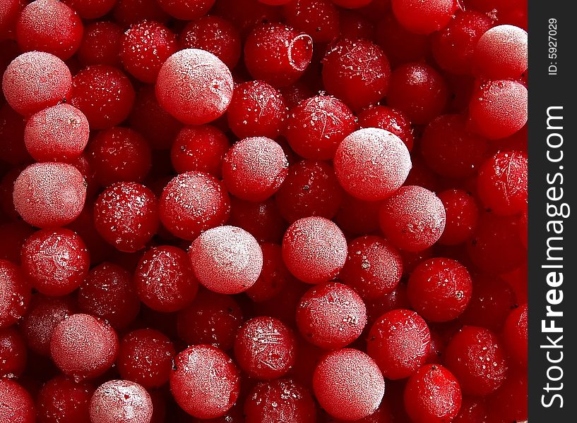 Frozen Berries Of Guelder-rose