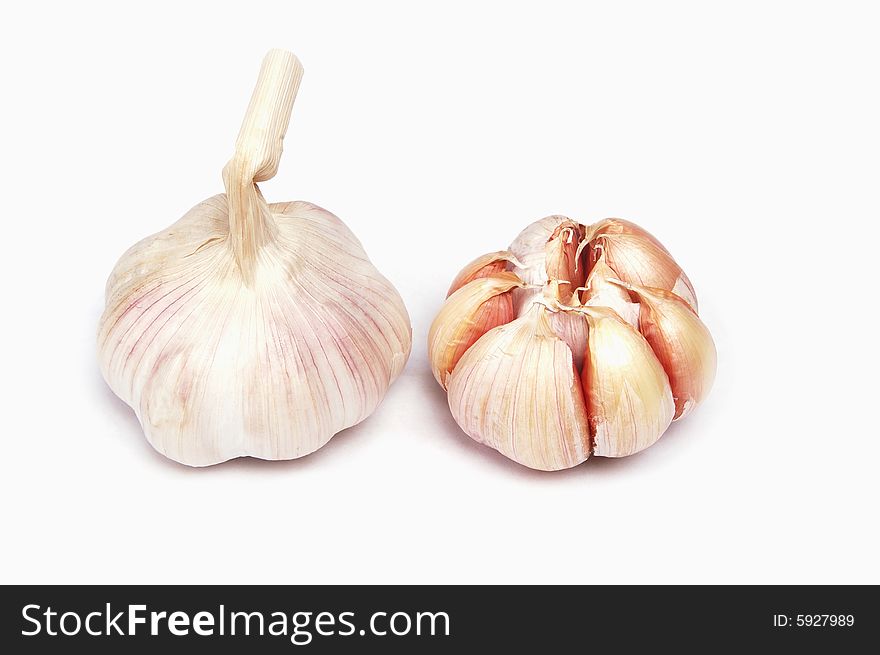 Garlic