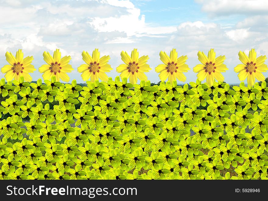 Composition of landscape and yellow flowers. Composition of landscape and yellow flowers
