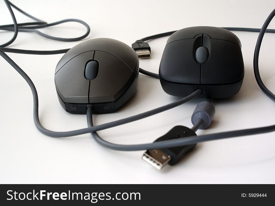 Two black computer mouse on an isolated background