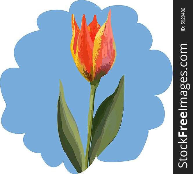 Art. Vector illustration of tulip