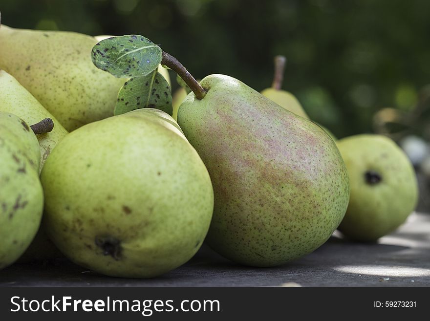 Sweet home-grown pears. Sweet home-grown pears