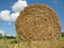 Hay Bale Royalty Free Stock Images Hay Bale Royalty Free Stock Images