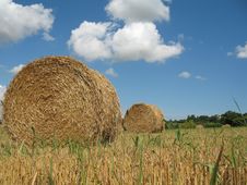 Hay Bales Royalty Free Stock Photography Hay Bales Royalty Free Stock Photography