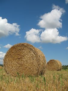 Hay Bales Stock Image Hay Bales Stock Image